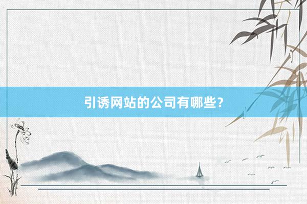 引诱网站的公司有哪些？