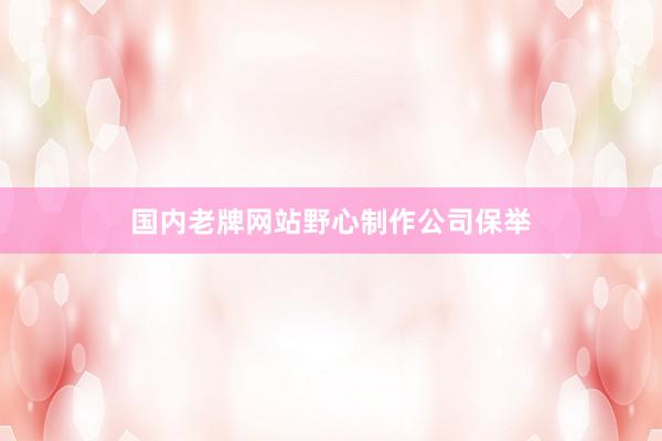 国内老牌网站野心制作公司保举